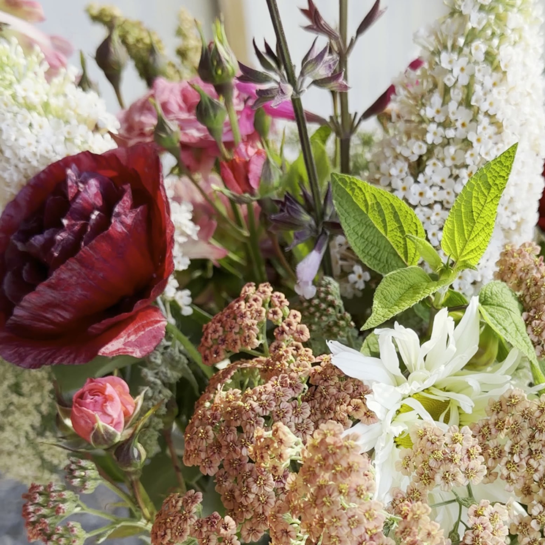 A jar of poppies, salvia and yarrow