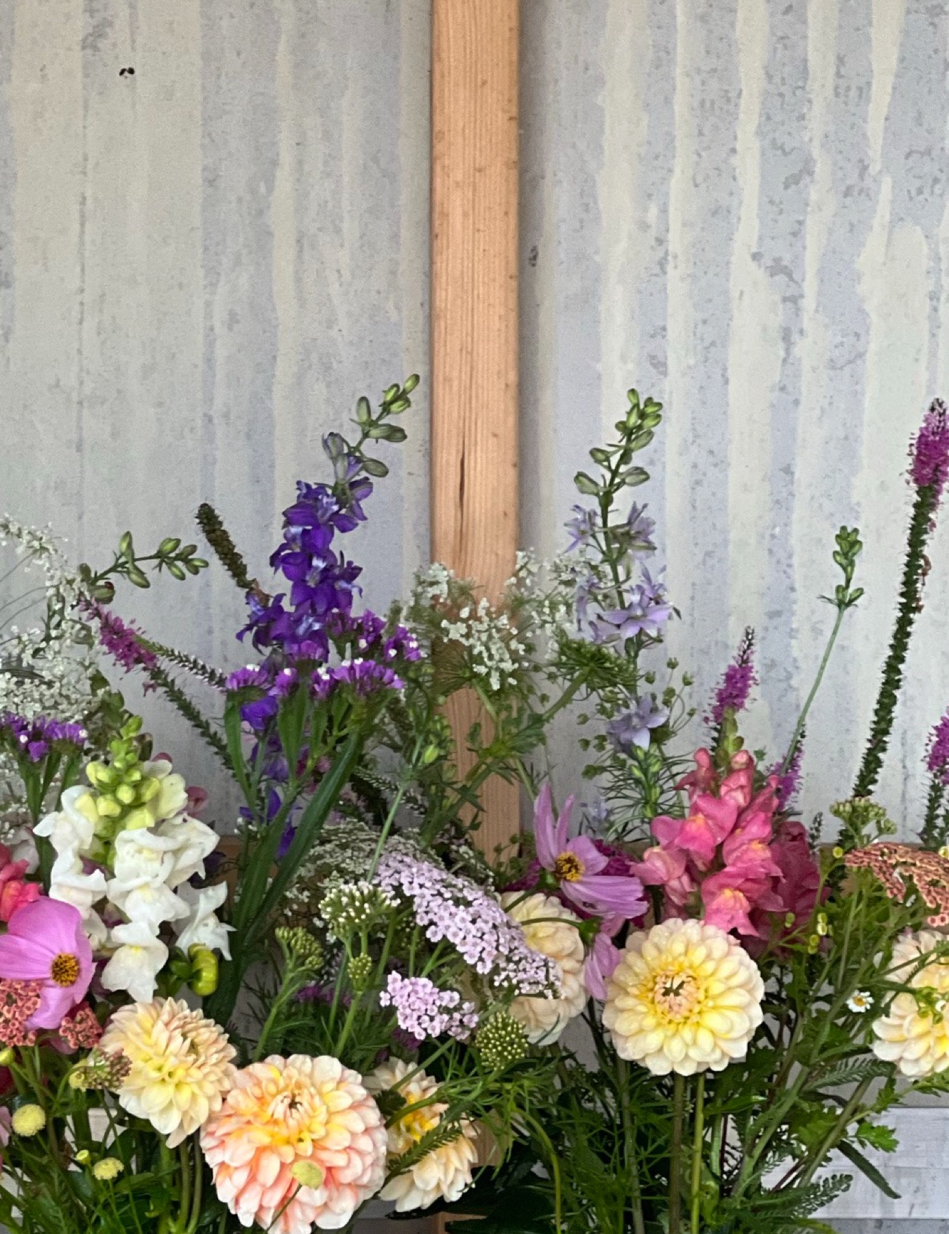 Flowers on the bench against the shed wall